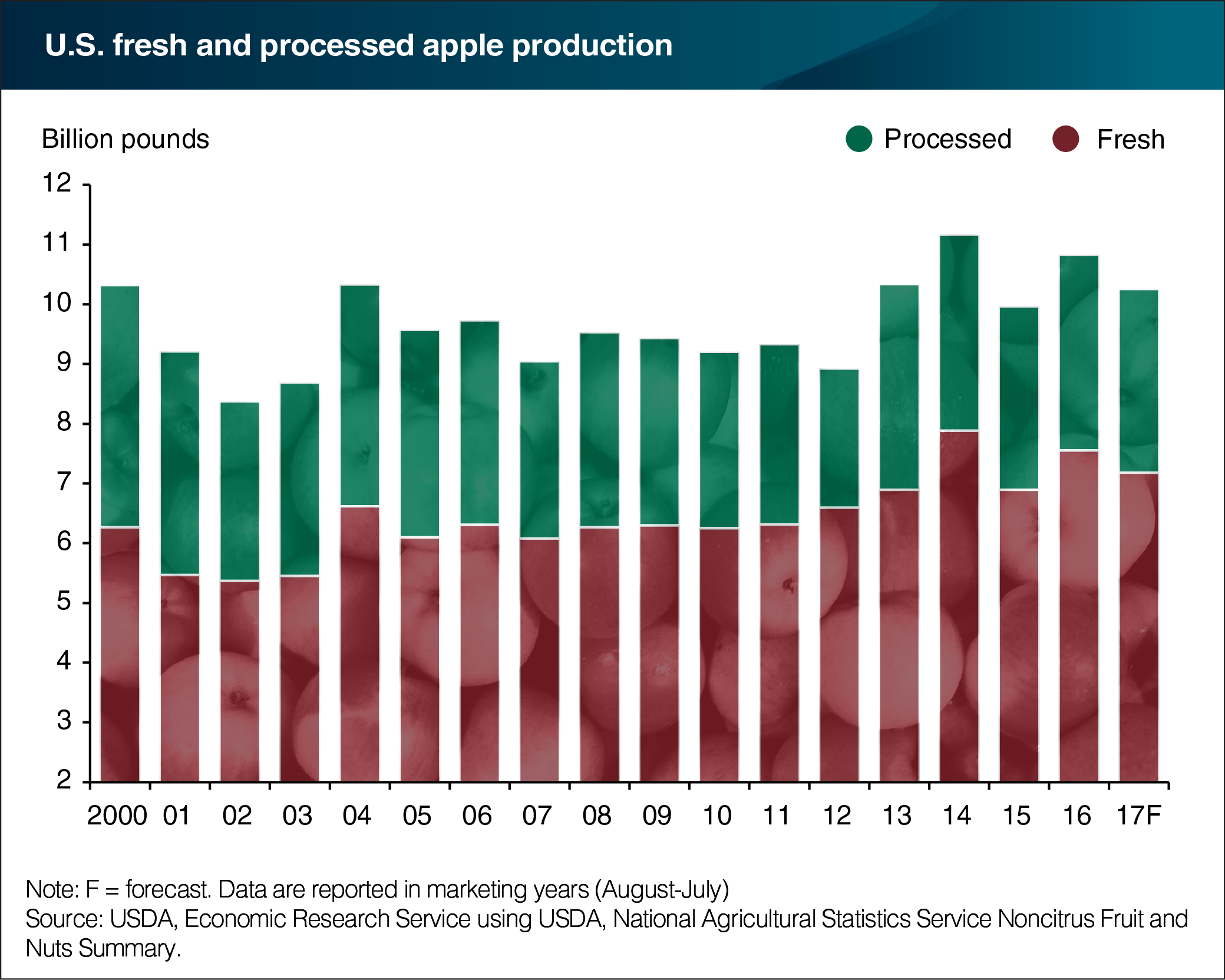 A bar chart showing U.S. fresh and processed apple production.