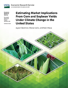 This is the cover image for the Estimating Market Implications From Corn and Soybean Yields Under Climate Change in the United States report.