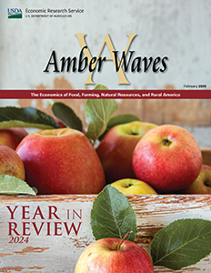 This is the cover image for the Amber Waves: 2024 Year in Review report.