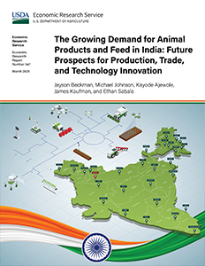 This is the cover image for the Growing Demand for Animal Products and Feed in India: Future Prospects for Production, Trade, and Technology Innovation report.