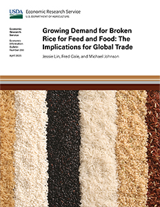 This is the cover image for the Growing Demand for Broken Rice for Feed and Food: The Implications for Global Trade report.