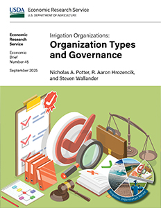 This is the cover image for the Irrigation Organizations: Organization Types and Governance report.