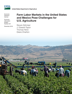 Farmworkers tend to fields.