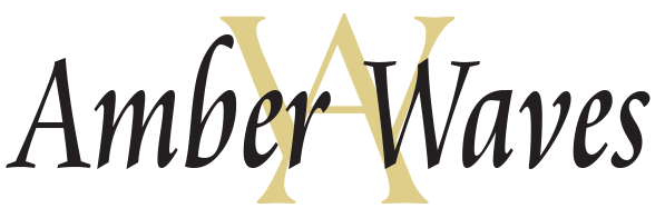 Amber Waves logo