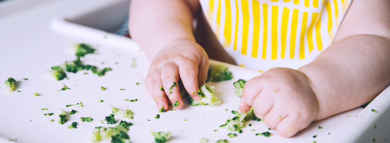 Infant in high chair eating chopped broccoli