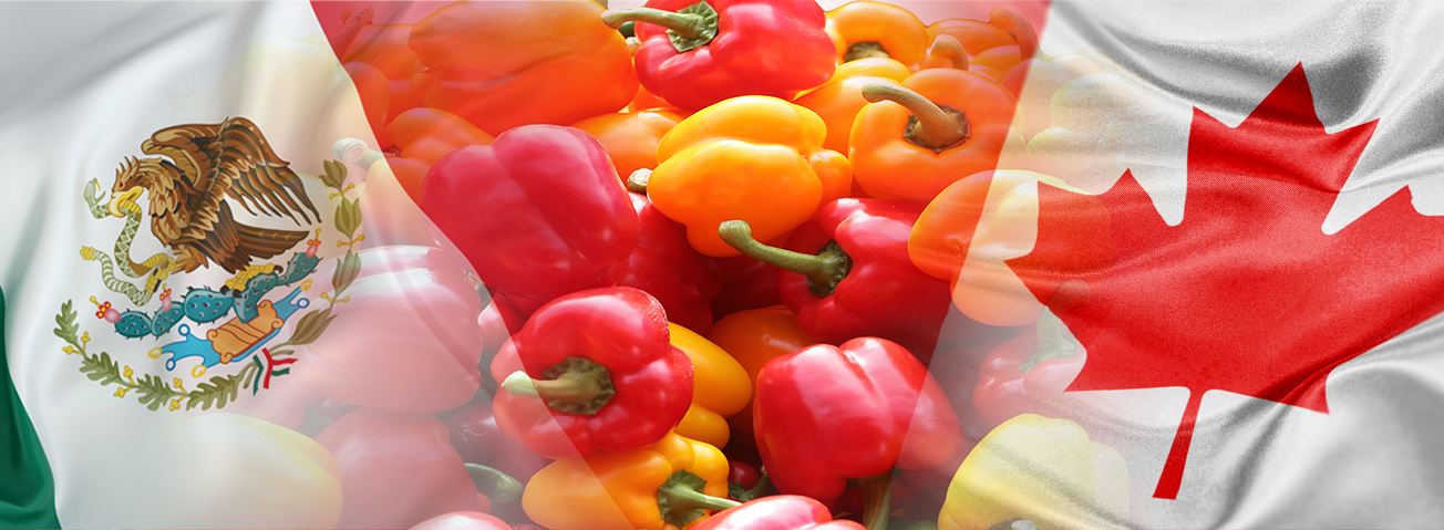 An image of bell peppers with flags of Mexico and Canada superimposed over it. 