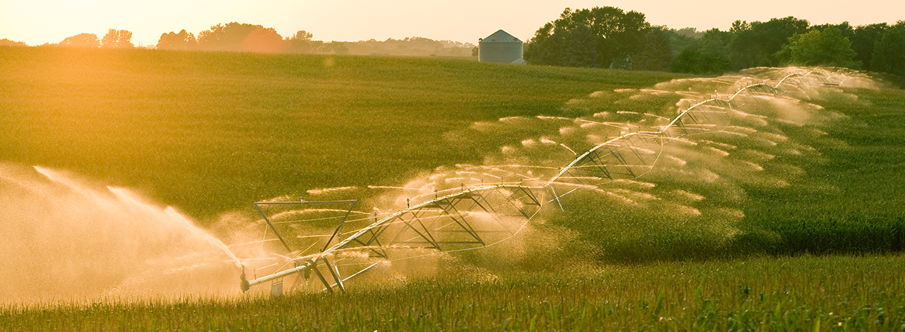 Irrigated fields in glowing sunlight