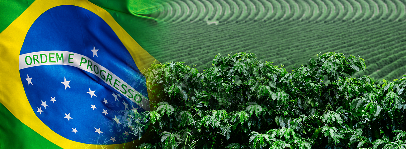 Photo image combining Brazil's flag with Brazil crops in field