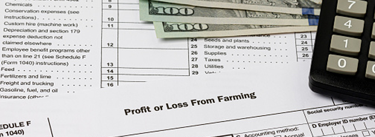 Graphic depiction of a farming profit or loss sheet, cash, and calculator