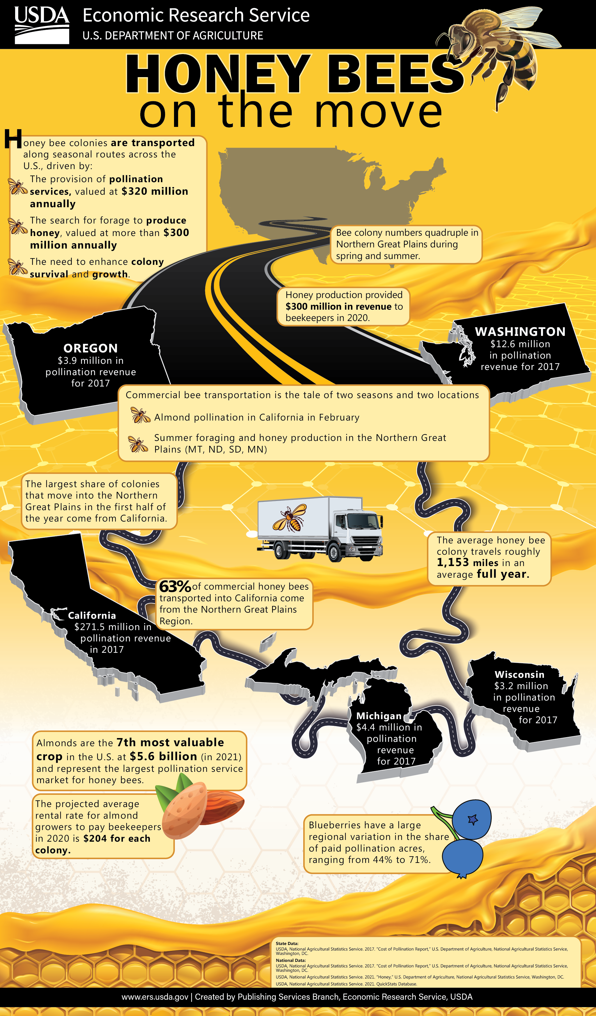 Honey Bees Infographic