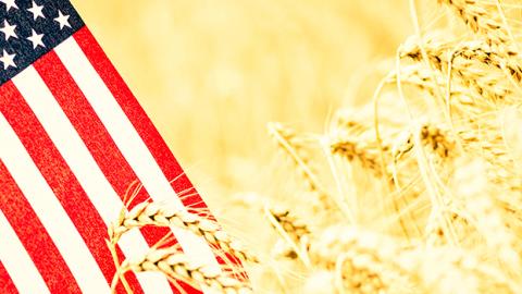 An American flag over a golden wheat field 
