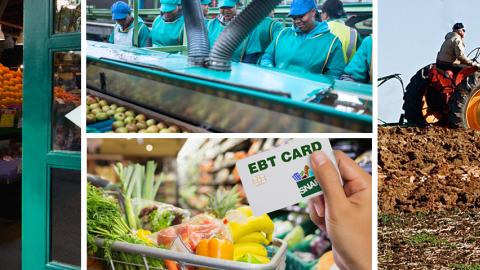 Photo collage: Woman business owner, factory workers, hand basket with groceries, farmer on tractor