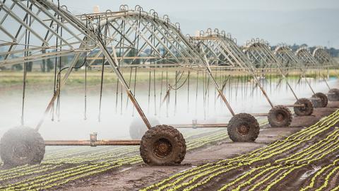 Irrigation system spraying water