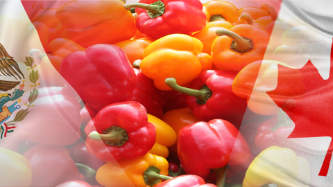 An image of bell peppers with flags of Mexico and Canada superimposed over it. 