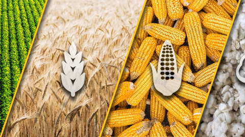 A series of pictures and representative logos for soybeans, wheat, corn, and cotton.