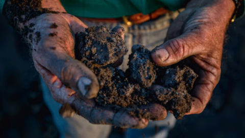 Hand holding a clump of soil