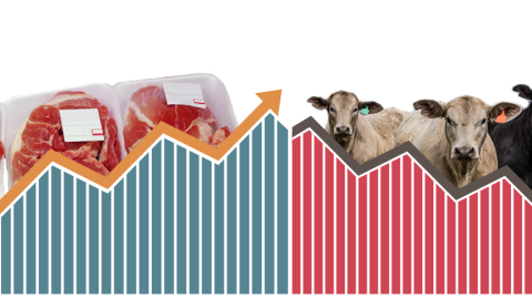 Two-sided graphic with packaged beef on the left and live steers on the right