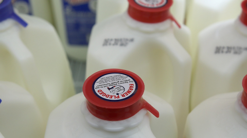 Photo of tops of milk containers