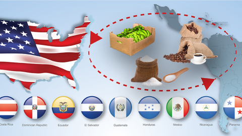 A graphic depicting crops entering the United States from countries in Central America and South America.