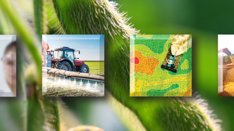 Closeup of soybean, with squares showing seeds in test tube, tractor, field aerial, seeds being processed