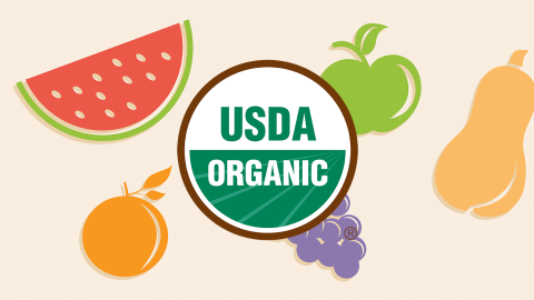 Illustration of fruits and vegetables with USDA Organic logo in the foreground.