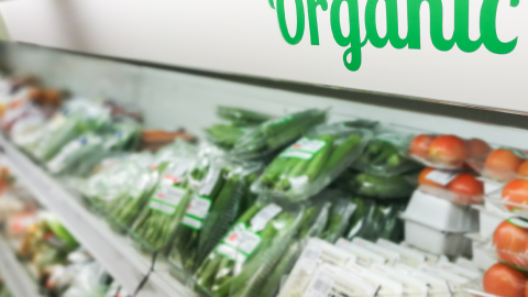 Photo of organic produce section at grocery store.