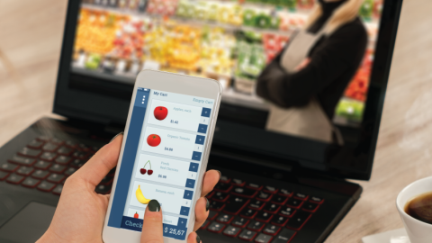 Photo of woman ordering groceries on her mobile phone.