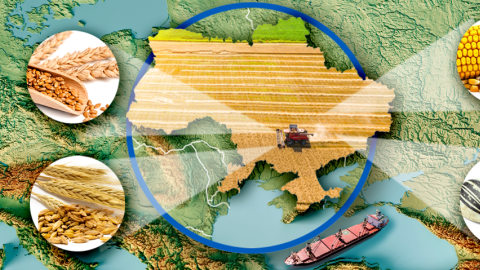 Graphic map of Ukraine with images of wheat, barley, corn, and sunflower seeds.