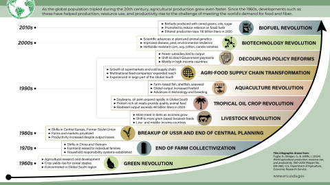 Infographic illustrating six decades of productivity.
