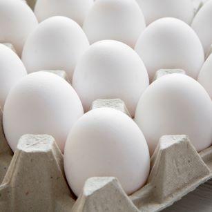 White eggs in cardboard carton