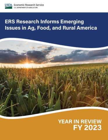 Picture of a corn field and title of the report