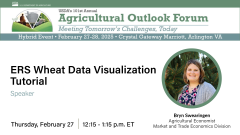 Ag Outlook Forum Wheat Data Presentation