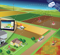 Illustration of digital technology used in farming