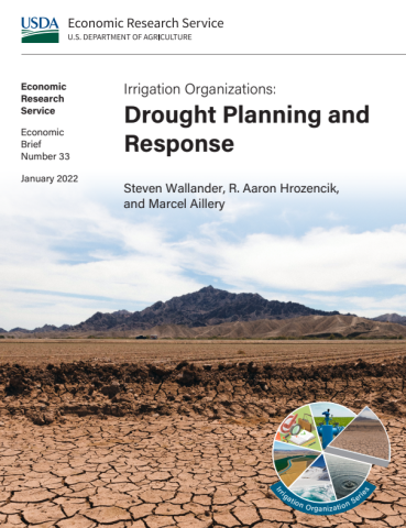Cover of Irrigation Organizations: Drought Planning and Response