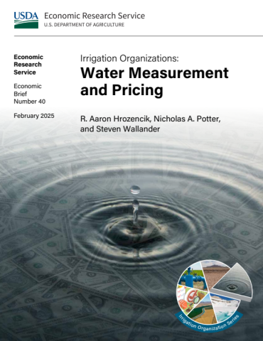 cover of  Irrigation Organizations: Water Measurement and Pricing