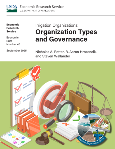 Cover of Irrigation Organizations: Organization Types and Governance