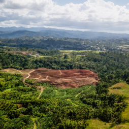 Cover image for Puerto Rico’s Agricultural Economy in the Aftermath of Hurricanes Irma and Maria: A Brief Overview  