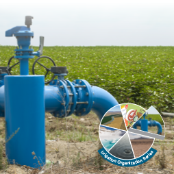 Cover image for Irrigation Organizations: Groundwater Management