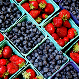 Cover image for The Changing Landscape of U.S. Strawberry and Blueberry Markets: Production, Trade, and Challenges from 2000 to 2020