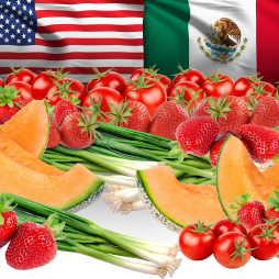 Cover image for How Mexico’s Horticultural Export Sector Responded to the Food Safety Modernization Act