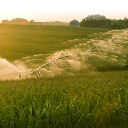 Cover image of Trends in U.S. Irrigated Agriculture: Increasing Resilience Under Water Supply Scarcity