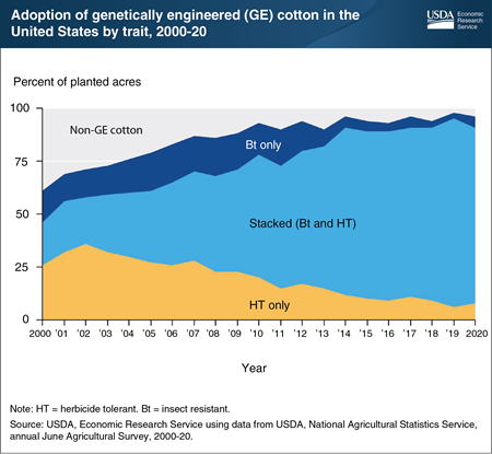 Since 2000, U.S. cotton producers have increasingly used genetically engineered (GE) seeds with stacked traits