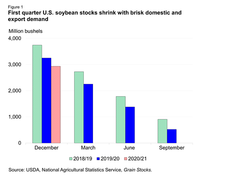 First quarter U.S. soybean stocks shrink with brisk domestic and export demand