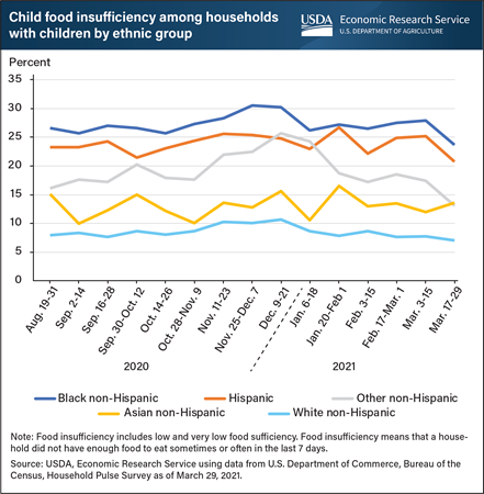 Children in Black and Hispanic households experienced greater food insufficiency than other ethnicities during COVID-19 pandemic