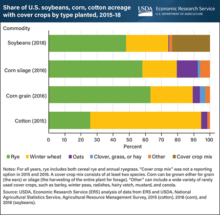 Rye and winter wheat were the most common cover crops on corn, soybean, and cotton fields