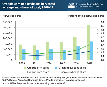 U.S. organic corn and soybean acreage increases but remains less than 1 percent of total