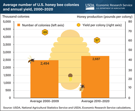 Number of U.S. honey bee colonies rises as honey yield per colony drops