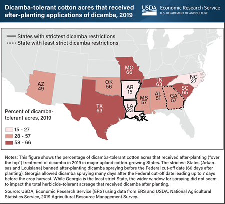 States with strictest dicamba restrictions saw less dicamba applied after cotton planting in 2019
