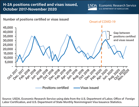 Gap between H-2A positions certified and H-2A visas issued grew during COVID-19 pandemic