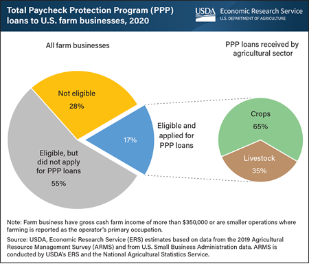 In 2020, crops sector received 65 percent of Paycheck Protection Program loans for agriculture